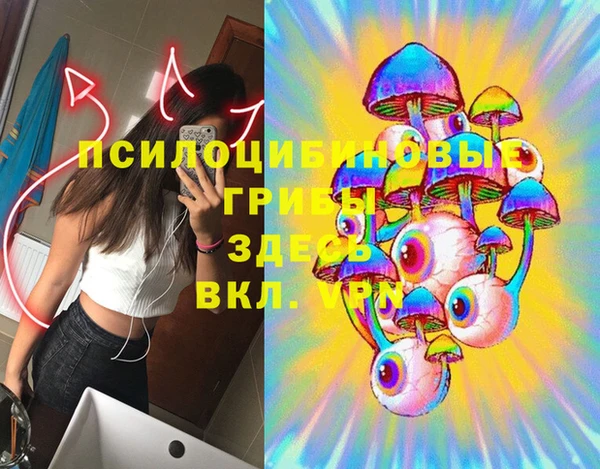 МДПВ Алексеевка