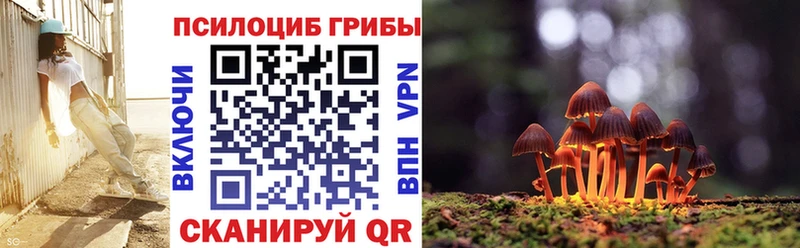 Галлюциногенные грибы Cubensis  Черемхово 